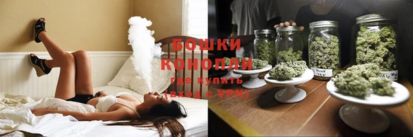 ГАЛЛЮЦИНОГЕННЫЕ ГРИБЫ Алексин