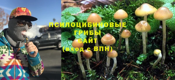 герыч Абаза