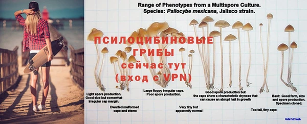 герыч Алзамай