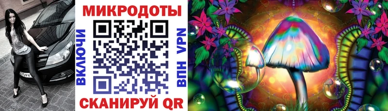 закладка  Нижняя Тура  Галлюциногенные грибы Psilocybine cubensis 